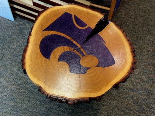 Powercat End Table